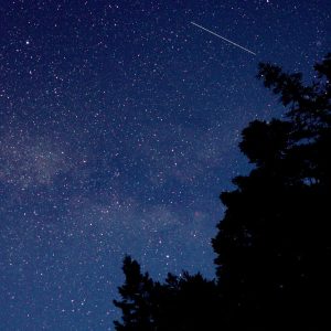 night sky algonquin park